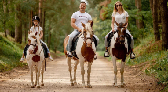 Семейная прогулка на лошадях в Green Ranch: специальное предложение сентября