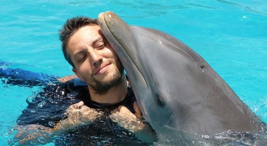Плавание с дельфином в дельфинарии «Немо». 5 минут для 2 человек