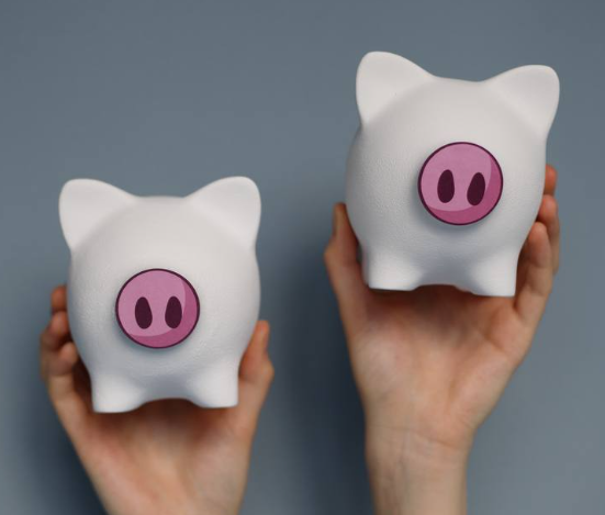 PIG BANK BY
