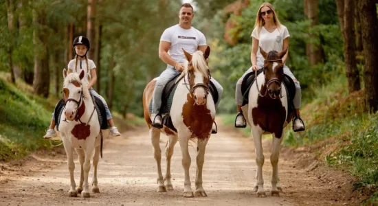 Семейная прогулка на лошадях в Green Ranch: специальное предложение сентября