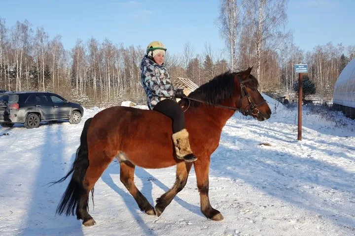 Обучающие занятия на лошади для детей