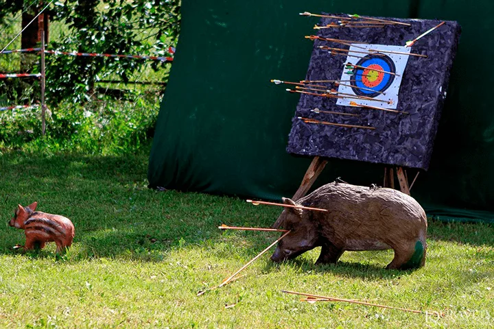 Обучение стрельбе из лука и арбалета в Archery Club