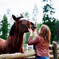 Незабываемая прогулка на лошадях Незабываемая прогулка на лошадях