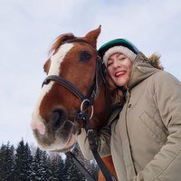 Обучение верховой езде в конном клубе «Мустанг» Обучение верховой езде в конном клубе «Мустанг»