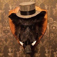 Детский квест «Индиана Джонс» Детский квест «Индиана Джонс»