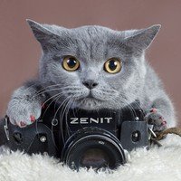Семейная фотосессия в студии Семейная фотосессия в студии