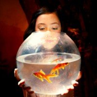 Фотосессия в двух образах Фотосессия в двух образах