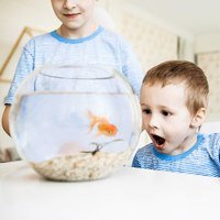 Семейная фотосессия — сохраните мгновения с родными и близкими Семейная фотосессия — сохраните мгновения с родными и близкими
