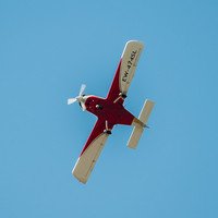 Обзорный полет на спортивном самолете Viper SD4 в Минске Обзорный полет на спортивном самолете Viper SD4 в Минске