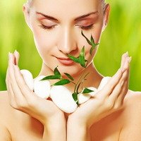 SPA-программа «Источник жизненных сил» SPA-программа «Источник жизненных сил»