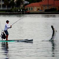 Катание на SUP-серфе в Drozdy Beach Wakepark Катание на SUP-серфе в Drozdy Beach Wakepark