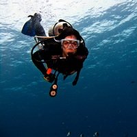 Обучение дайвингу с получением международного сертификата Обучение дайвингу с получением международного сертификата