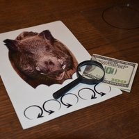 Детский квест «Индиана Джонс» Детский квест «Индиана Джонс»