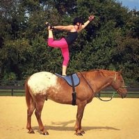 Незабываемая прогулка на лошадях Незабываемая прогулка на лошадях
